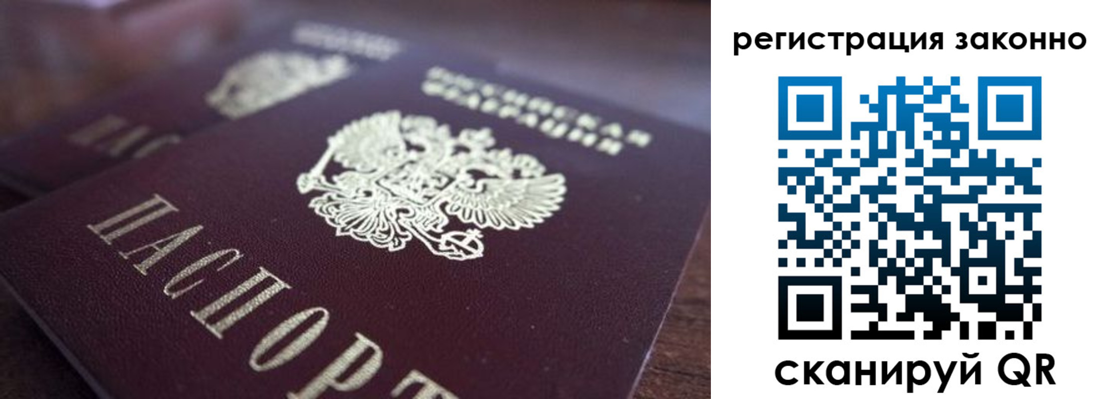 прописка для работы в Димитровграде