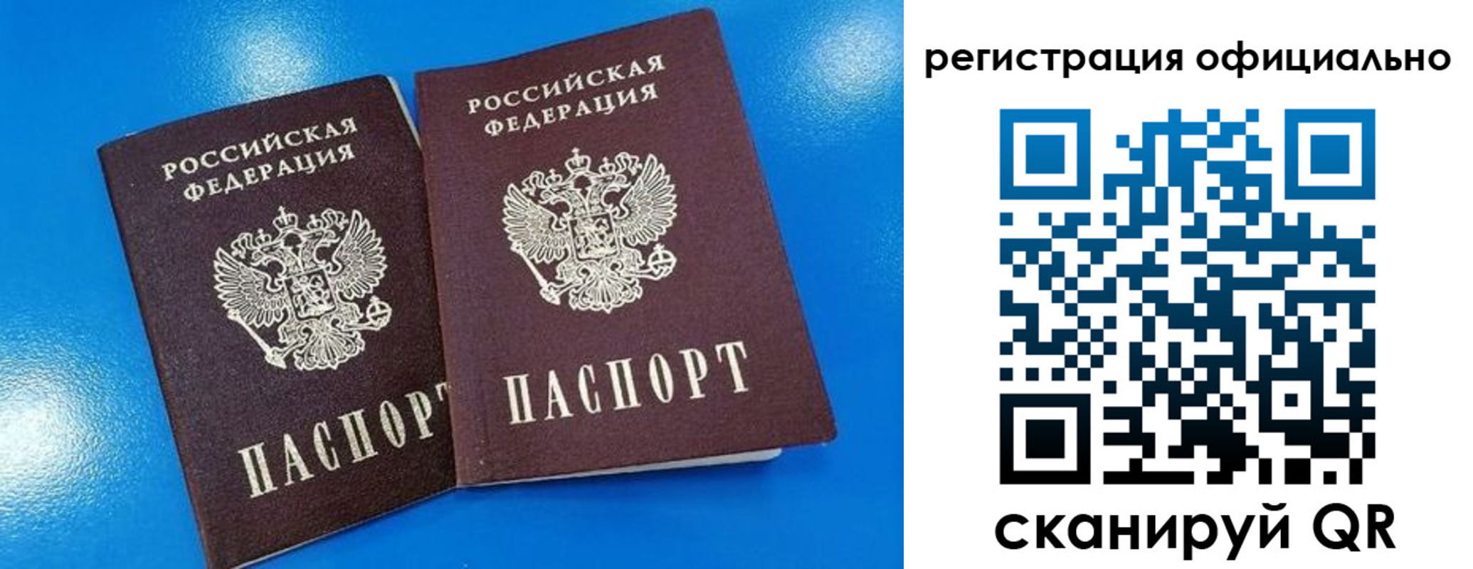 временная регистрация 2025 в Димитровграде